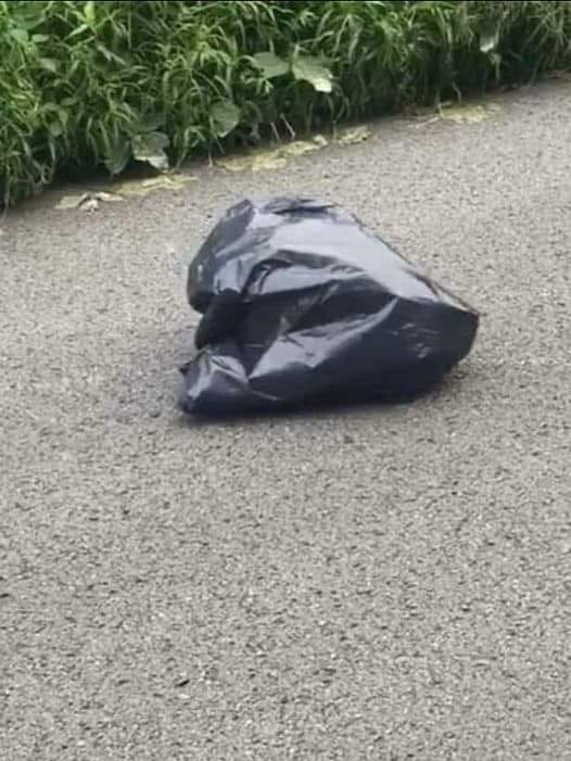 WOMAN SWERVES TO MISS TRASH BAG IN ROAD, LOOKS CLOSER AND GETS THE CHILLS