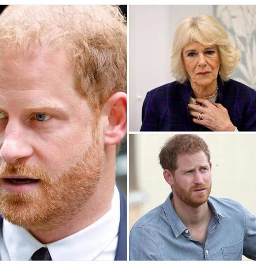 Queen Camilla ‘outraged’ after Prince Harry’s visit to see his father for ‘loving son PR stunt,’ claims source