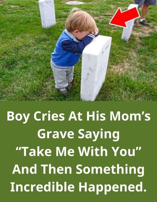 Kid Cries At His Mother’s Grave Saying “Take Me With You” And afterward Something Inconceivable Occurred.